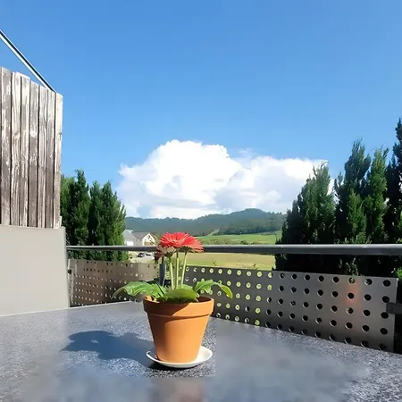 Haus Castellbergblick 3 Whg Lejlighed Döttingen